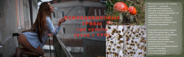 МДПВ Каменск-Шахтинский