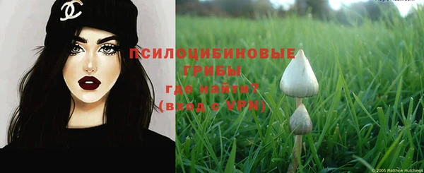дживик Каменногорск
