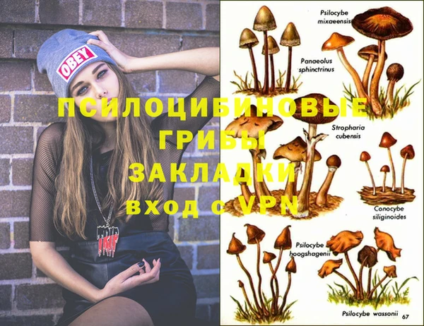 кокс Каменка