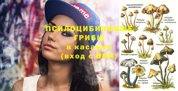 дживик Каменногорск